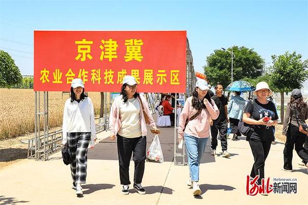 来自北京,天津,河北,河南,山东等8个省(市),32个供种单